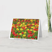 チューリップ海 カード (裏面)