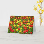 チューリップ海 カード (黄色い花)