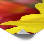 チューリップ海 ポスター (角)