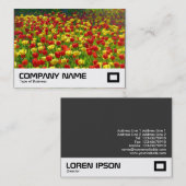 チューリップ海 名刺 (正面/裏面)