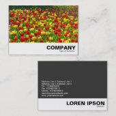 チューリップ海 名刺 (正面/裏面)