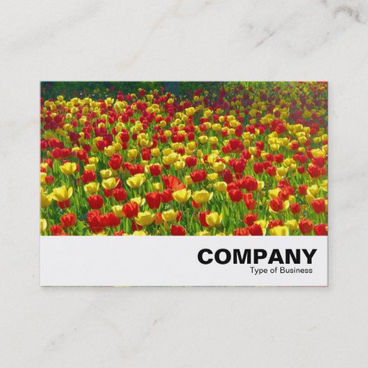チューリップ海 名刺 (正面)
