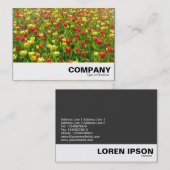 チューリップ海II 名刺 (正面/裏面)