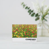 チューリップ海II 名刺 (スタンド正面)