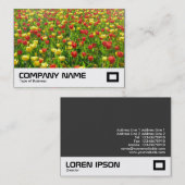 チューリップ海II 名刺 (正面/裏面)