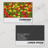 チューリップ海III 名刺 (正面/裏面)