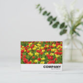 チューリップ海III 名刺 (スタンド正面)