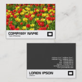 チューリップ海III 名刺 (正面/裏面)