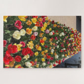 チューリップ熱 ジグソーパズル (横)