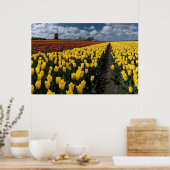 チューリップ畑に出ている ポスター (キッチン)