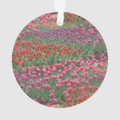 チューリップ畑 オーナメント (裏面)