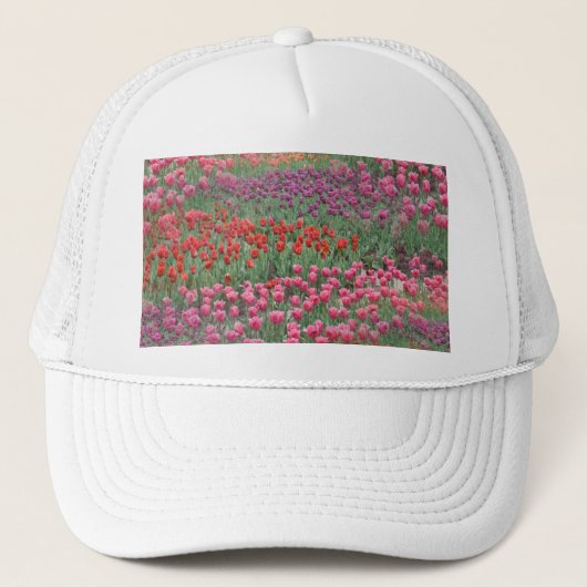 チューリップ畑 キャップ (正面)