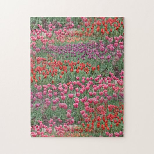チューリップ畑 ジグソーパズル (縦)