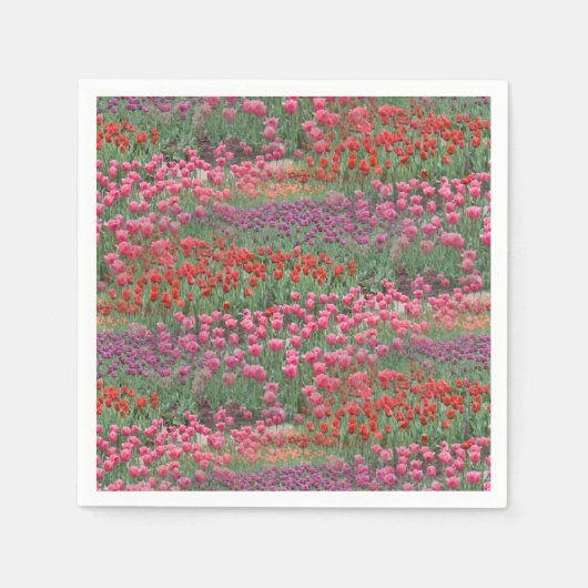 チューリップ畑 スタンダードカクテルナプキン (正面)