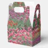 チューリップ畑 フェイバーボックス (オープン)