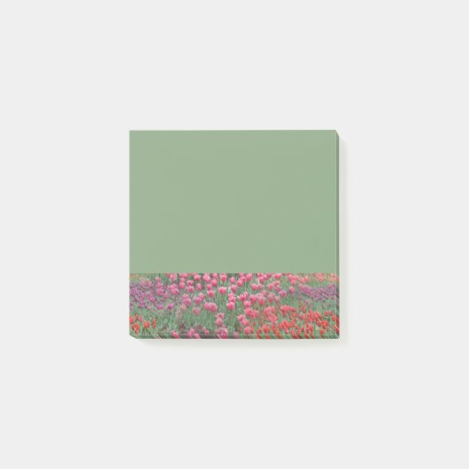 チューリップ畑 ポストイット (正面)