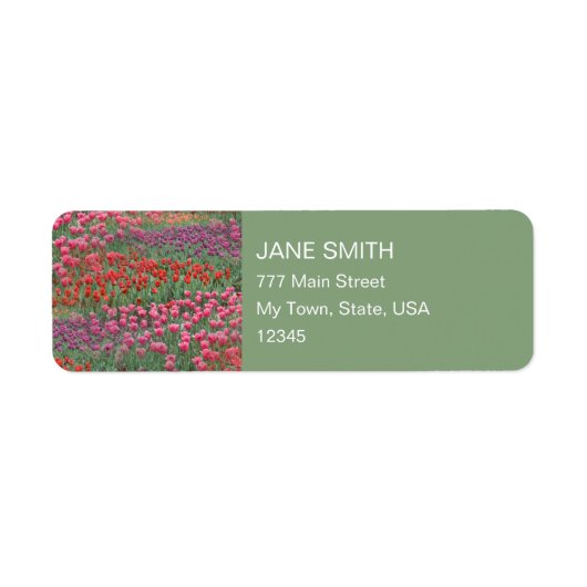 チューリップ畑 ラベル (正面)