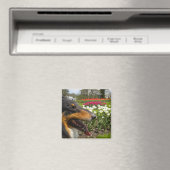 チューリップ磁石のラフな3色カラー マグネット (インサイチュ (食洗機))