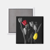 チューリップ磁石 マグネット (正面/裏面)