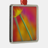 チューリップ花の裏側のクローズアップ メタルオーナメント (右)