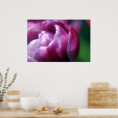 チューリップ花びら ポスター (キッチン)