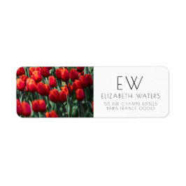 チューリップ花写真差出人住所ラベル ラベル