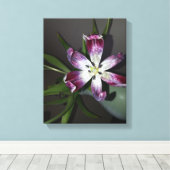 チューリップ花 キャンバスプリント (インサイチュ (ウッドフロア))