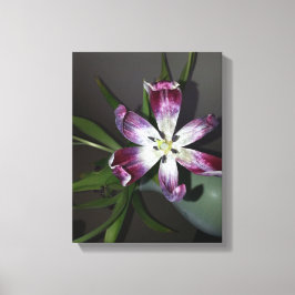 チューリップ花 キャンバスプリント