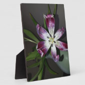 チューリップ花 フォトプラーク (側面)