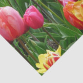 チューリップ花 薄葉紙 (詳細)