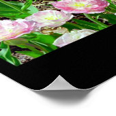 チューリップ血管炎 ポスター (角)