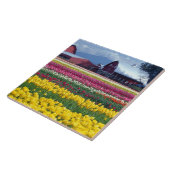 チューリップ表示フィールド タイル (側面)