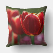 チューリップ装飾用クッション クッション (裏面)
