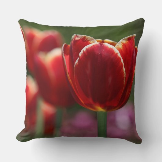 チューリップ装飾用クッション クッション (正面)