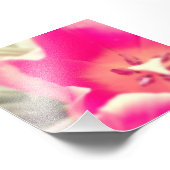 チューリップ解剖学。 フォトプリント            (角)