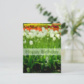 チューリップ誕生日はがき | Geburtstagskarte Tulpen ポストカード (スタンド正面)