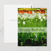 チューリップ誕生日はがき | Geburtstagskarte Tulpen ポストカード (正面/裏面)