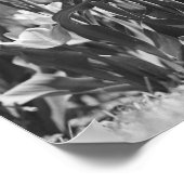 チューリップ開花 ポスター (角)