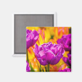 チューリップ魅惑バイオレット マグネット (正面/裏面)