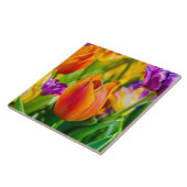 チューリップ魅惑的 タイル (側面)