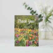 チューリップ鮮やかガーデンサンキューカード シーズンカード (スタンド正面)