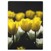 チューリップ黄色と白 クリップボード (裏面)