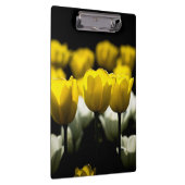 チューリップ黄色と白 クリップボード (右)