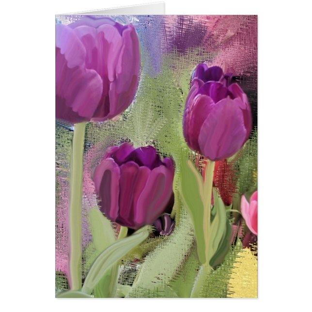 チューリップ (正面)