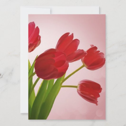 チューリップ (正面)