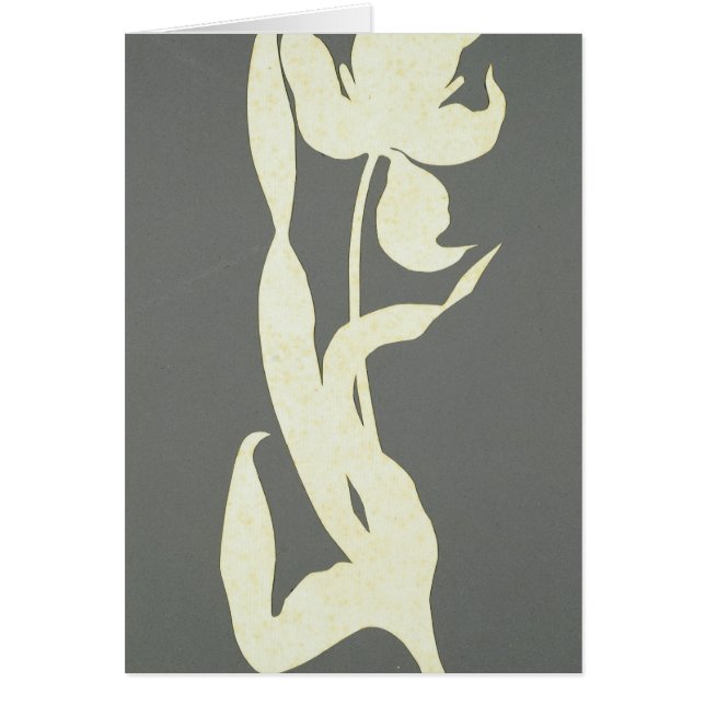 チューリップ (正面)