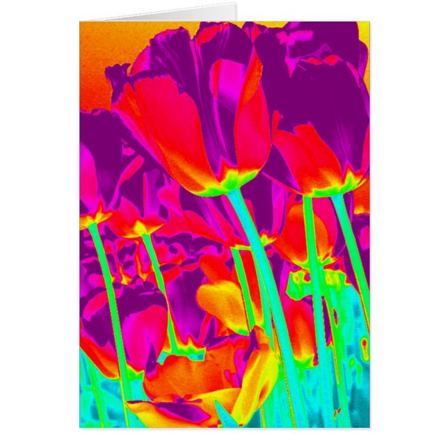 チューリップ (正面)