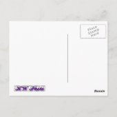 チューリップ0243紫はがき ポストカード (裏面)