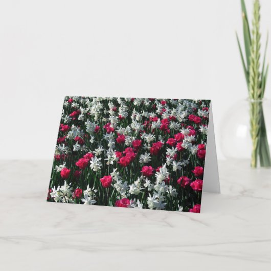 チューリップ16グリーテ空白のィングカード カード (正面)