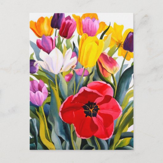 チューリップ2007 ポストカード (正面)